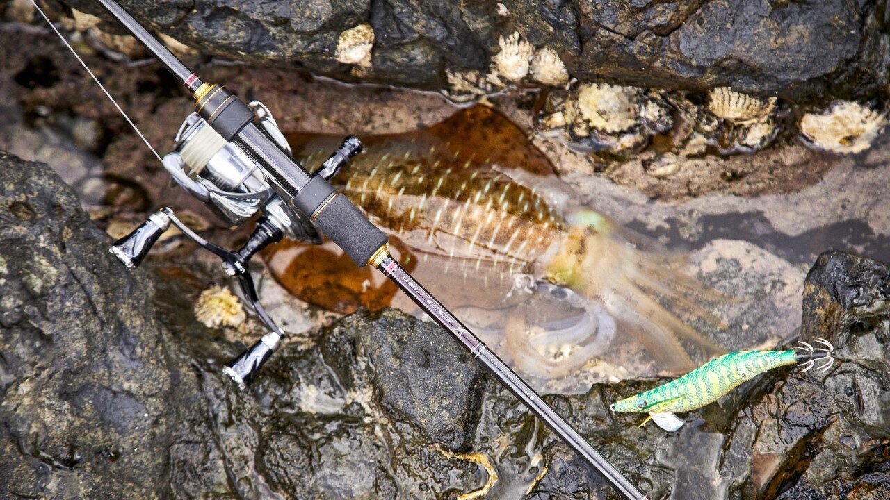 title01-20241120_EG_708 (